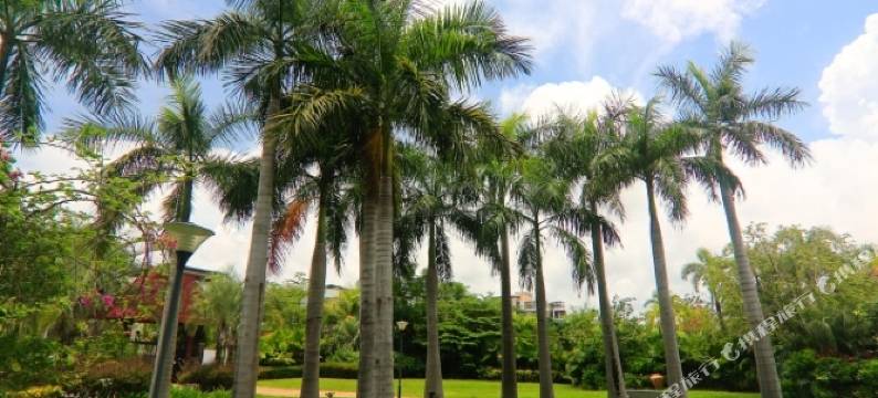 三亚海边柒捌柒民宿图片