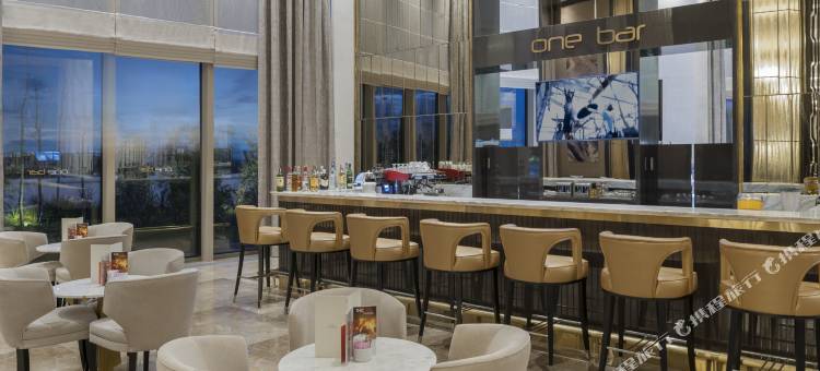 伊斯坦布尔库丘克亚勒精英世界大酒店(Elite World Grand Istanbul Küçükyalı)图片