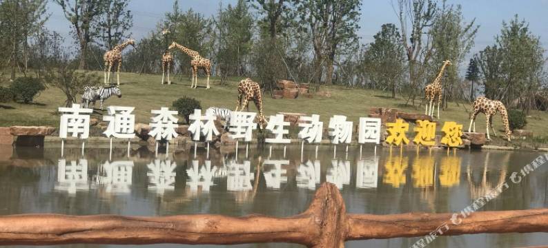 南通猫山屋智慧酒店(万象城店)图片