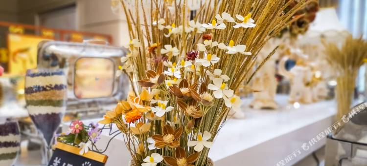 鞍山双子酒店(辽宁科技大学店)图片