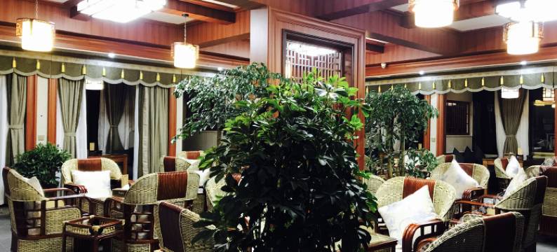 八宿泰洪主题酒店图片