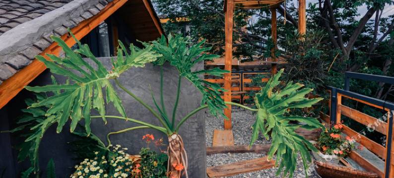 西昌云野民宿图片