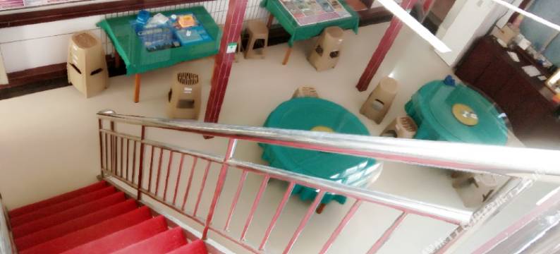 日照海边俊俊渔家图片