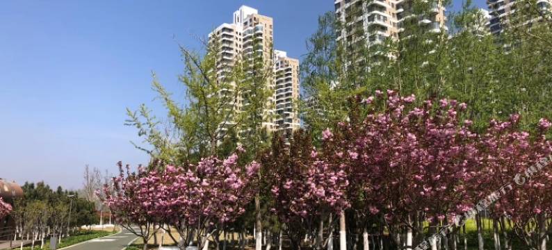 烟台花园海景民宿图片