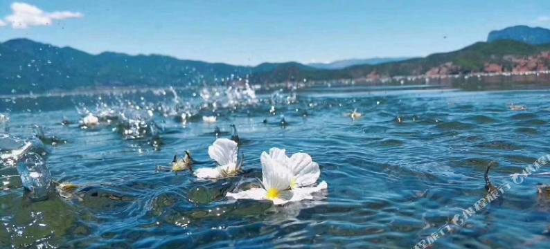 泸沽湖摩梭岁月客栈图片