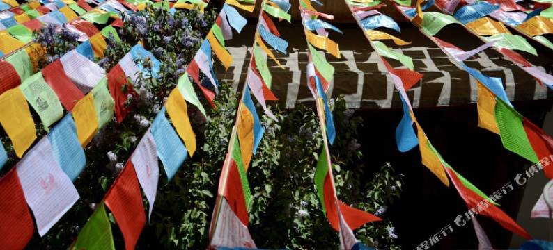 拉萨拾光小筑客栈图片