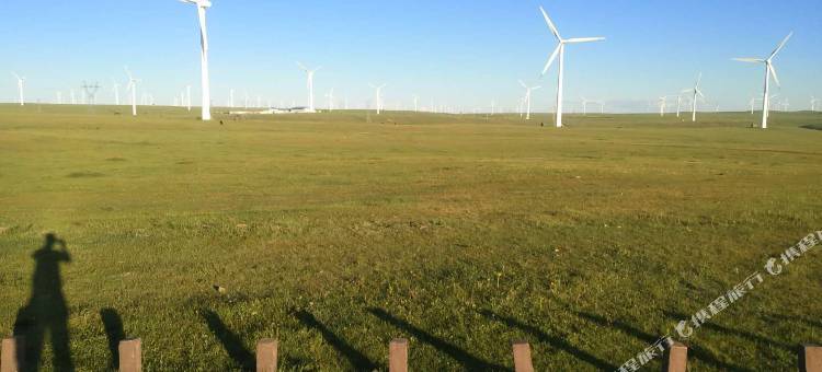 察右中旗辉腾锡勒草原牧都民宿图片