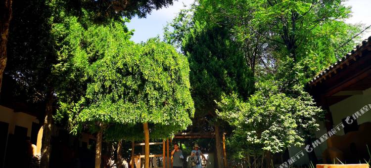 沙坡头黄河小院(沙坡头景区店)图片