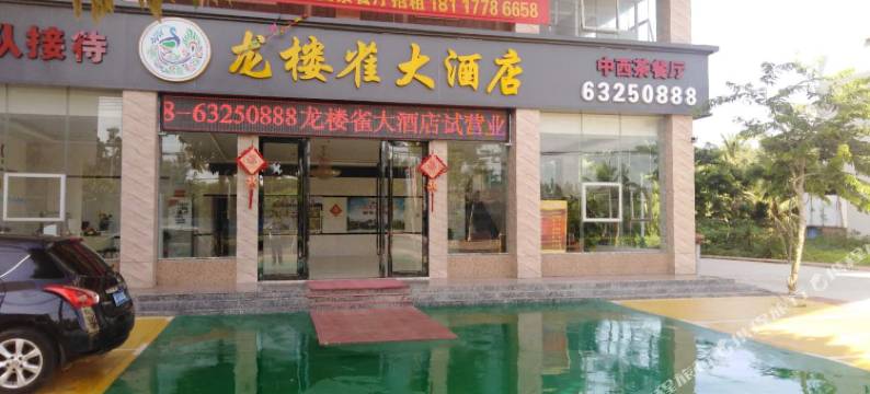 文昌龙楼雀大酒店图片