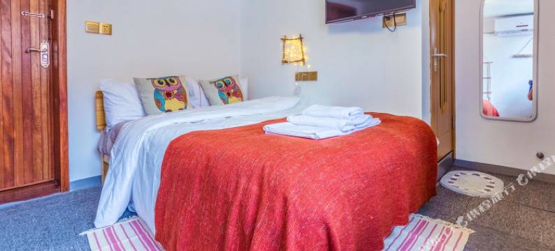 上海阿大雪特色民宿图片