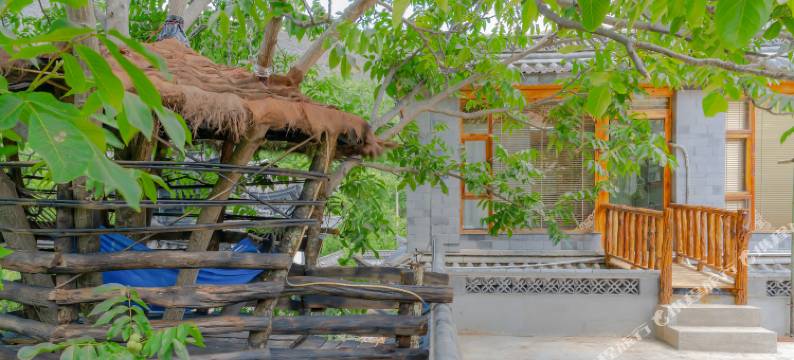 鸡足山古树林休闲客栈图片