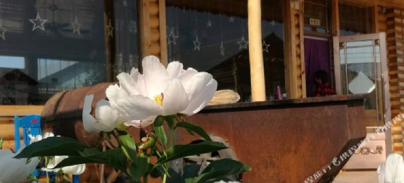 额尔古纳恩和琳娜之家民宿图片