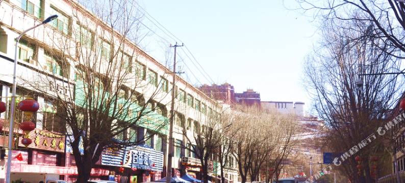 帝人酒店(拉萨布达拉宫店)图片