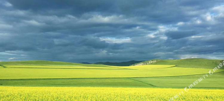 阿廖沙大叔民宿图片