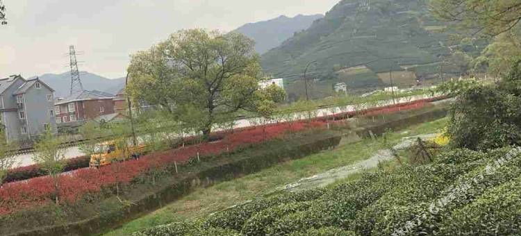 杭州枉山民宿图片