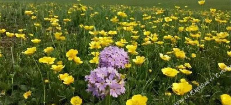 延安水晶恋人民宿图片