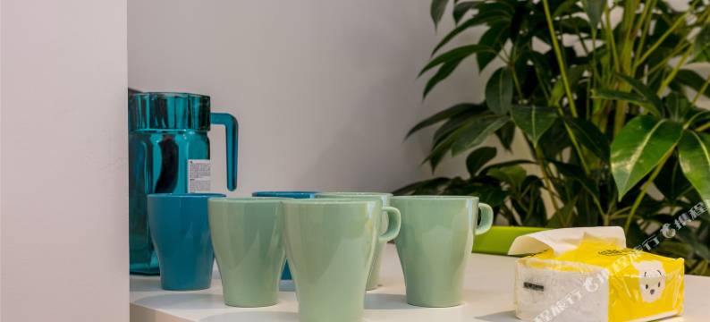 成都春熙路的民宿(4号店)图片