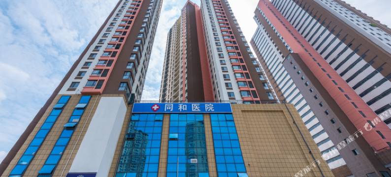 青岛石缝中的贝壳公寓图片