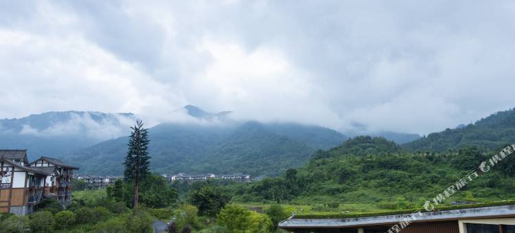 峨眉山方聚设计师民宿(黄湾游客中心店)图片