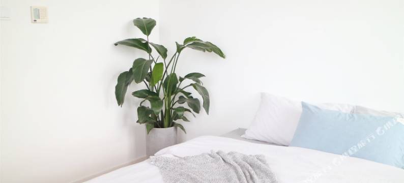 FUNWU梵屋公寓(北京8号店)图片