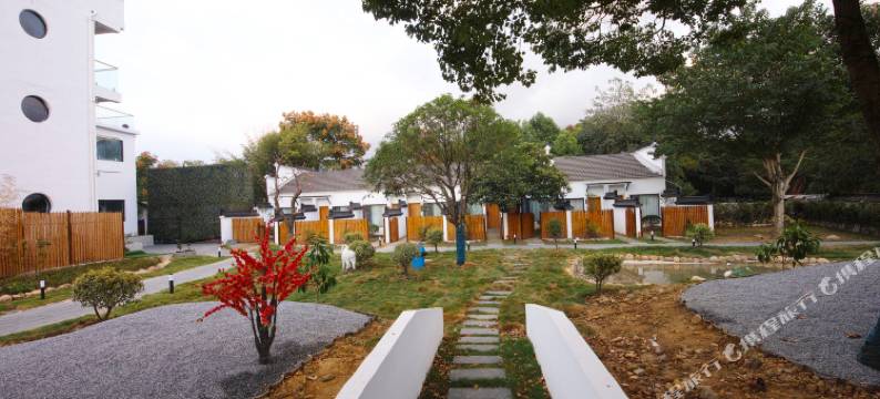 九华山维朵别院民宿图片