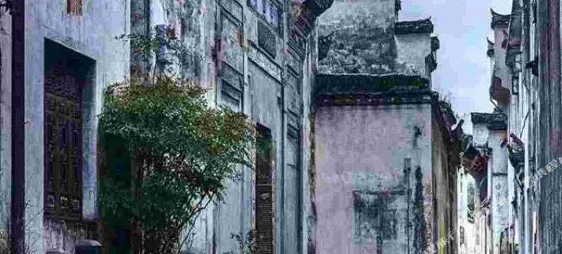 黟县黟香园酒店图片