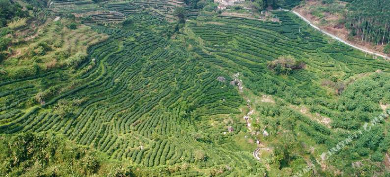 新兴景源别墅图片