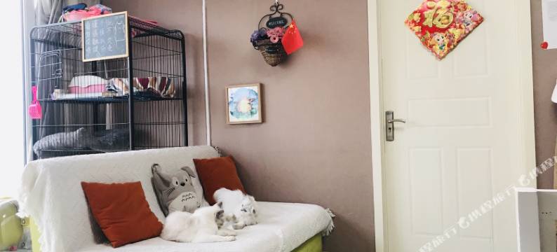 济南DIY青年公寓图片