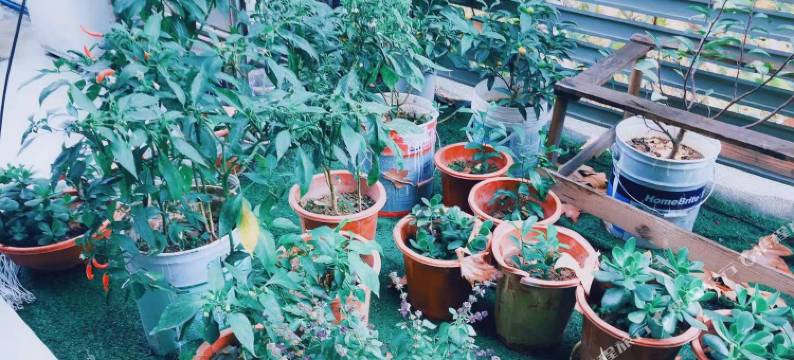 九九聚家商务宾馆(南京站红山动物园店)图片