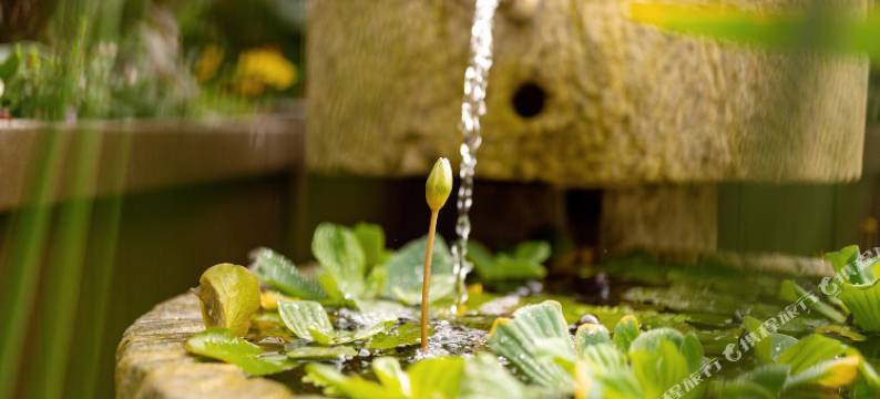 成都上才悠然酒店(杜甫草堂成都西站店)图片