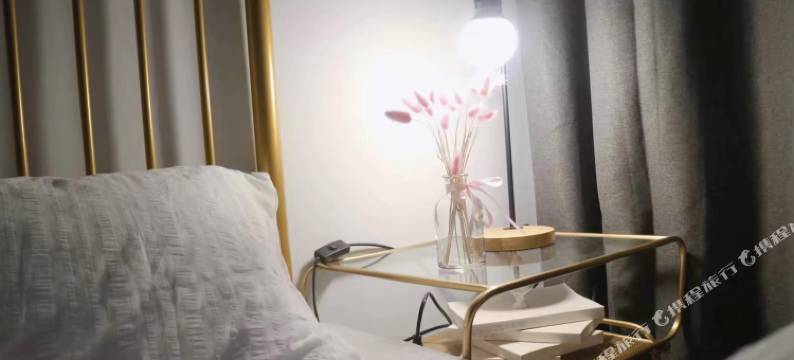 天津张蕊公寓(2号店)图片