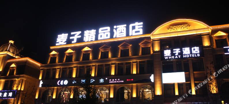 麦子酒店(天山国际机场新天润罗马天街店)图片