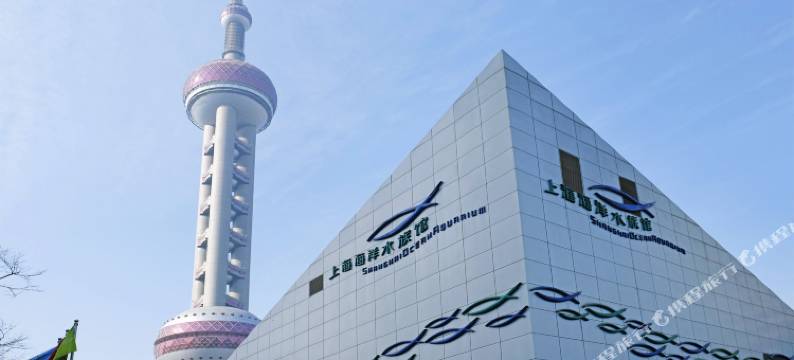 上海迪漫酒店图片