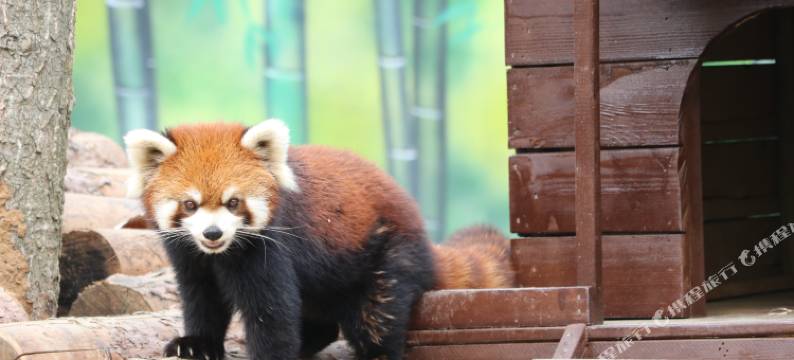 南京紫清湖生态旅游温泉度假区图片