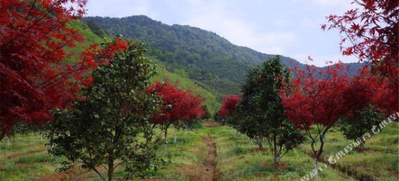 杭州径香园农家乐图片