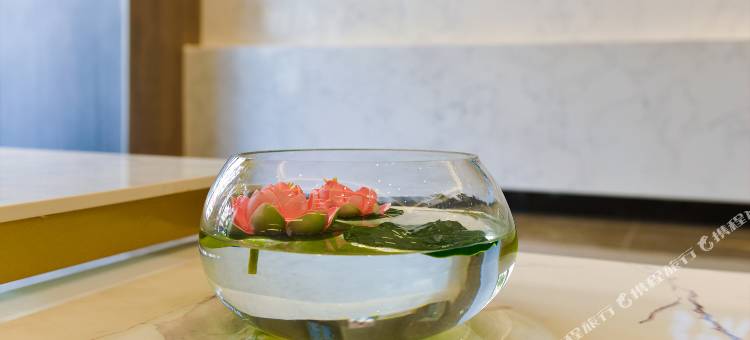 星程轻居酒店(开封鼓楼店)图片