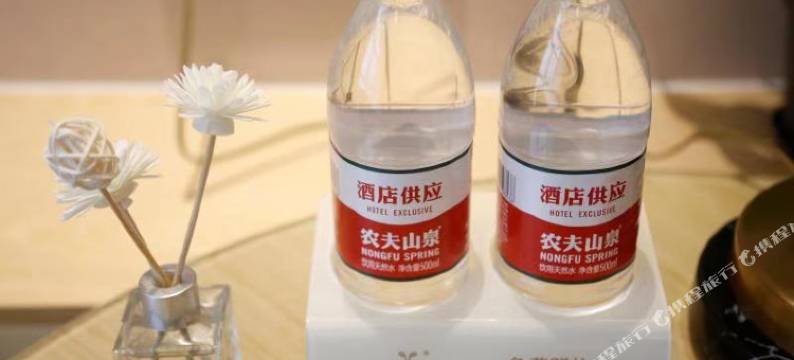 维也纳国际酒店(重庆大足中心店)图片