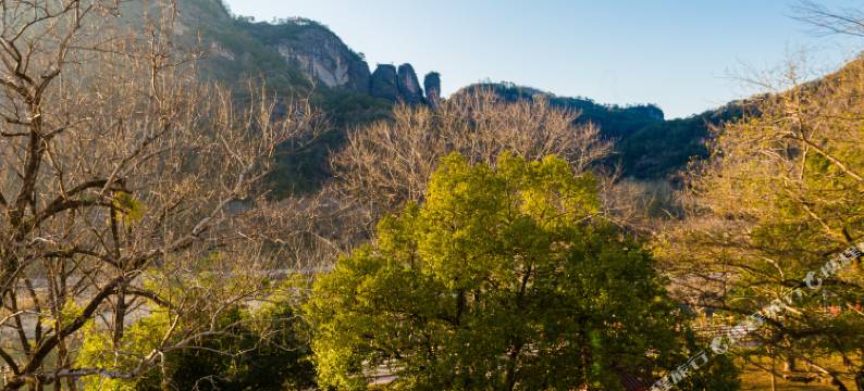 武夷山漫亭筱岸民宿图片