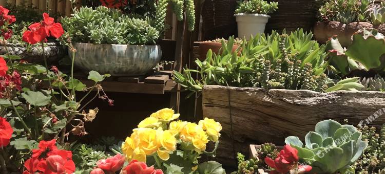 漾濞芝兰商务酒店图片