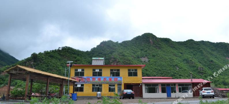 赤城金土地野味农家院图片