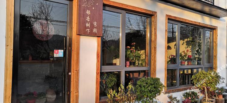 无锡银杏树下客栈图片