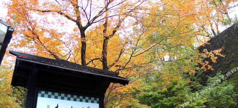 若叶日式旅馆(Ryokan Wakaba)图片