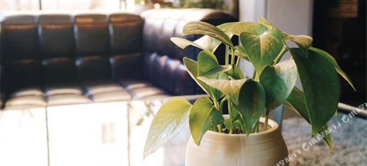 喆啡酒店(沈阳火车站太原南街店)图片