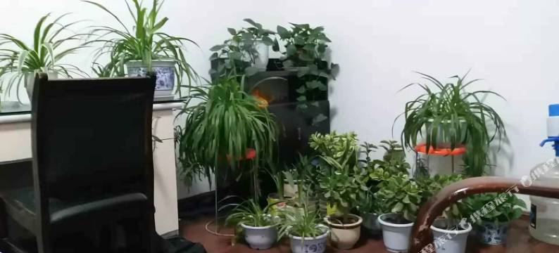 子长张家大院图片