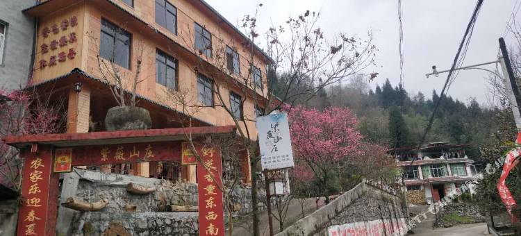 北川紫薇山庄图片