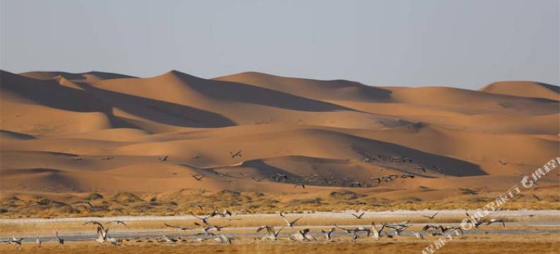 阿拉善左旗腾格里酒店图片