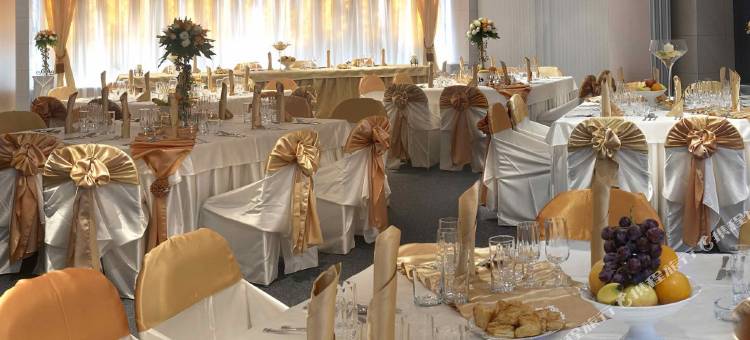 阿拉德大陆酒店(Continental Forum Arad)图片