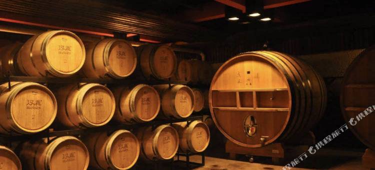 乌海汉森酒店((金沙湾飞机场店)图片