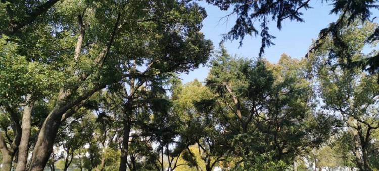 太仓万达广场东仓南路亚朵酒店图片