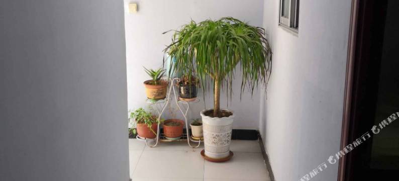 建昌辽西旅社图片